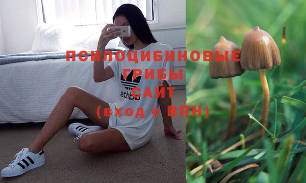 гидропоника Тольятти